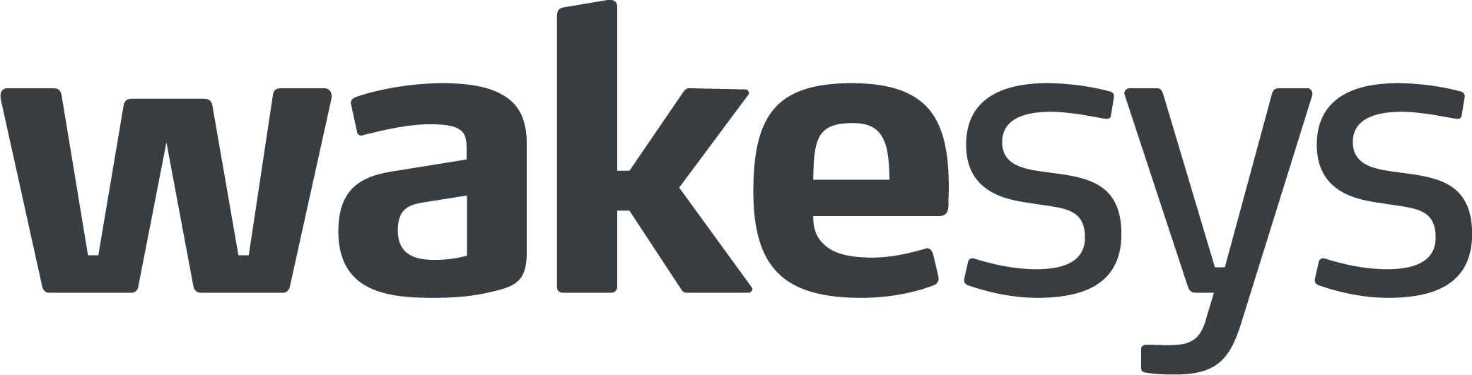 wakesys Logo